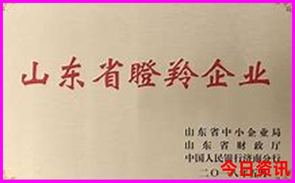 出去玩怎么报旅游团